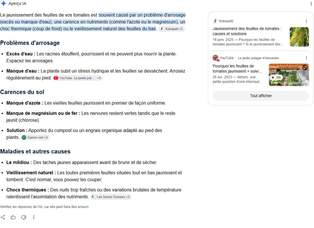 Aperçu IA de Google en français affichant sa réponse et les pastilles de sources cliquables